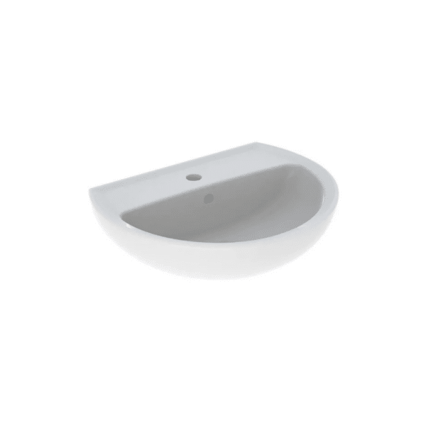 Lavabo colibrì (1)