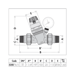 Riduttore di pressione con cartuccia monoblocco estraibile - Serie 5350 (535040)